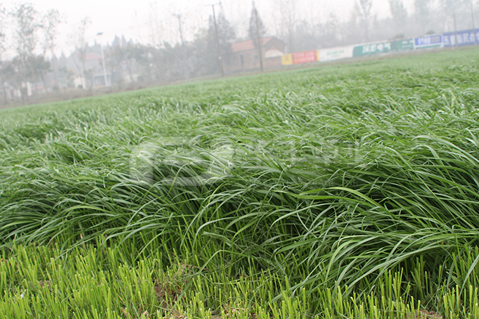 һ���������