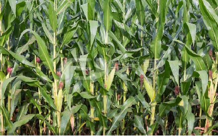 ������14��