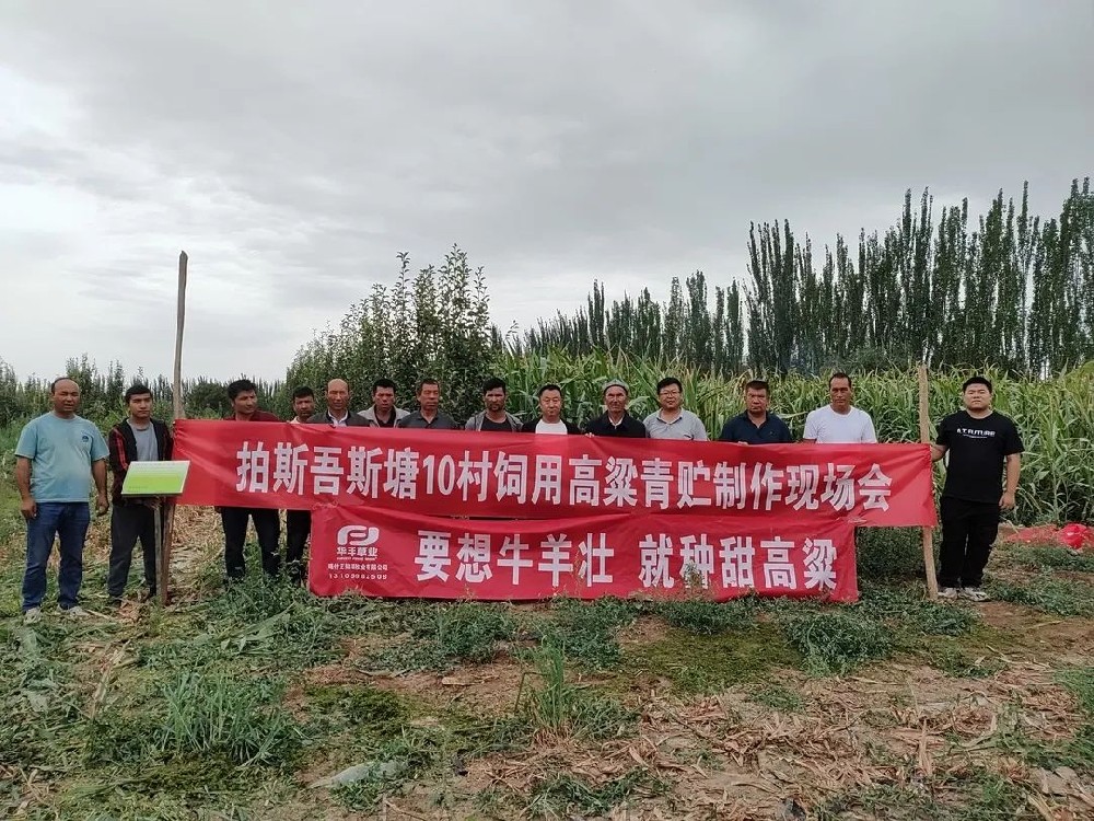 ¿¦Ê²µØÇøËÇÓÃÌð¸ßÁ»¼Ó¹¤Ê¹ÓÃÏÖ³¡»á