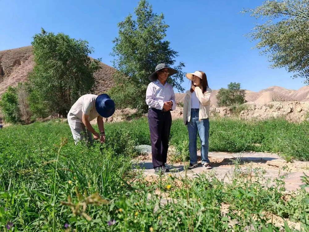 ºÓÄÏũҵ´óѧÍõ³ÉÕ½ÌÊÚݰÁÙÎÒ¹«Ë¾Èý²íËDzÝÄÁ²ÝÖÆÖÖÊÔÑéÕ¾¿¼²ìµ÷ÑÐ