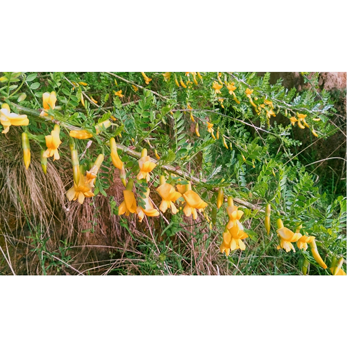 ��������������