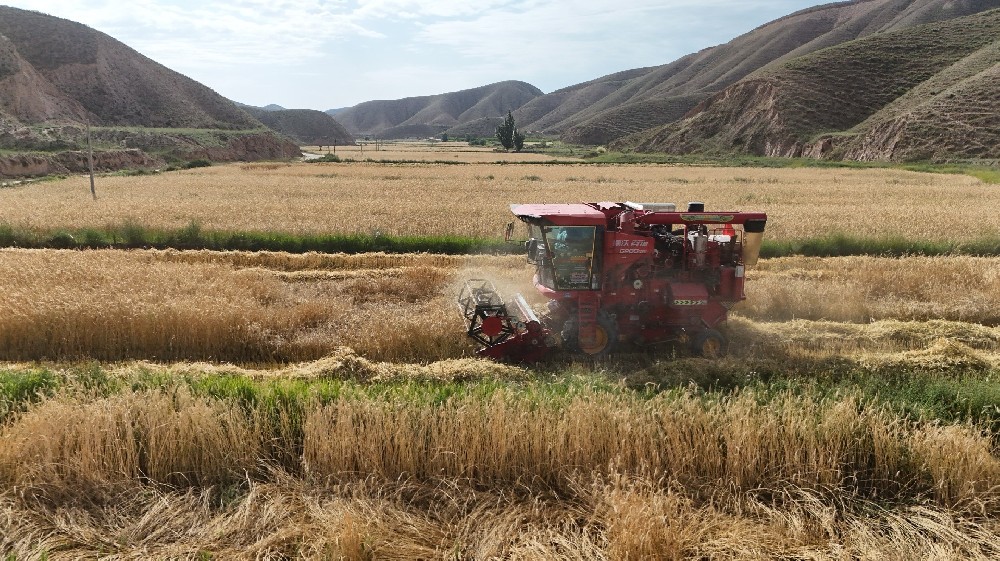 ����ӭ������������������ջ�æ