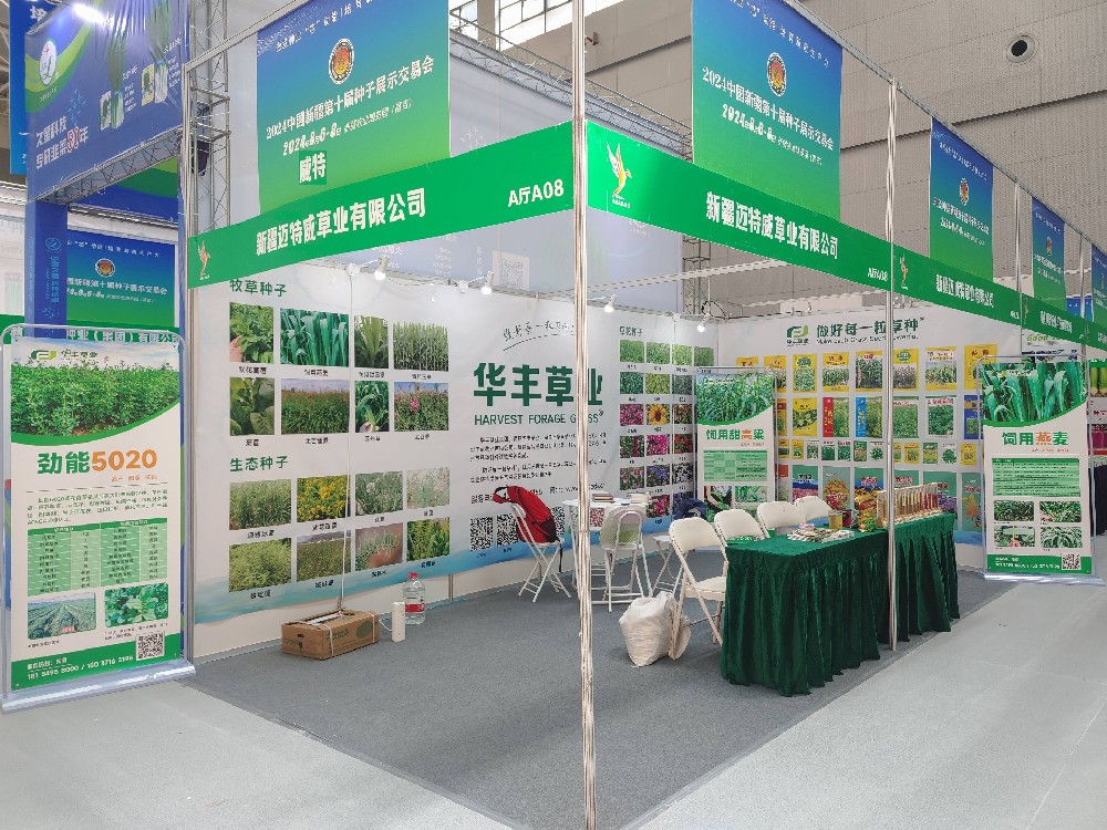 �ǿյ羺 - ���ε羺����,����ÿһ�̼����½���ʮ������չʾ�����