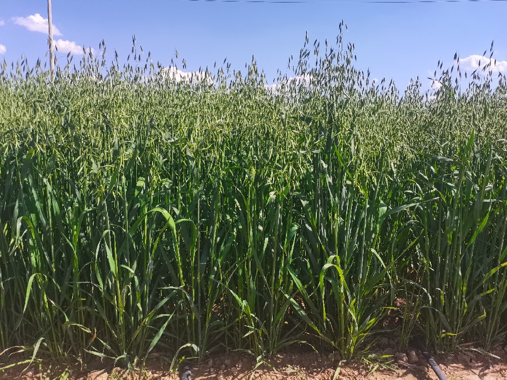 ��ݡ�����������������Ʒ��