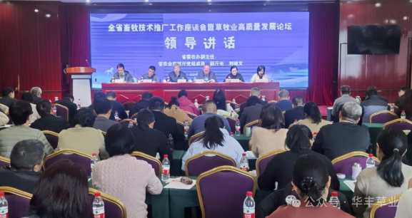 �������������ƹ�������̸���߲���ҵ������������̳��֣���ֳɾ���