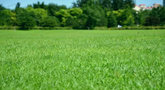 ��ƺѡ�־���֢��������������ʿ������ݣ��������������������������ɣ�