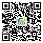 �ǿյ羺 - ���ε羺����,����ÿһ��